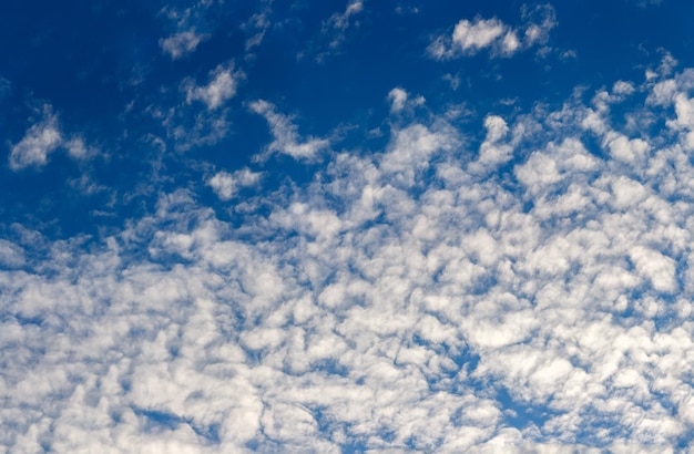 Nuvole bianche di altocumulus di sera sul fondo del telaio completo del cielo blu