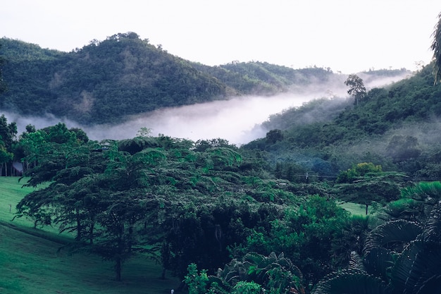 Nuvole che coprono le belle valli Suan Phueng montagna nella stagione delle pioggie, Tailandia