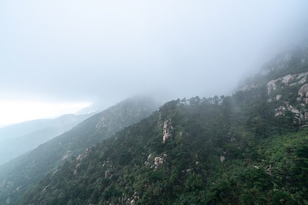 Nuvole e nebbia nel parco