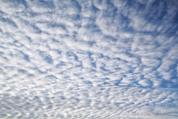 Nuvole morbide di luce bianca che galleggiano nel cielo blu. Priorità bassa di paesaggio di mattina della natura. Sereno vento primaverile