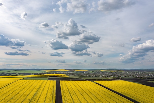 Nuvole sopra la ripresa aerea del campo di colza agricolo