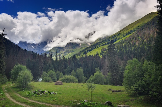 Nuvole sopra le cime delle montagne rocciose ricoperte di alberi