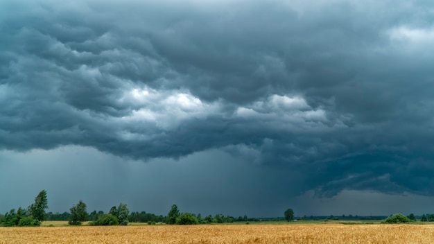 Nuvole temporalesche sul campo di grano