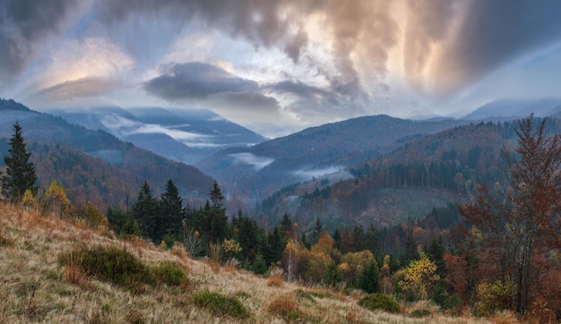 Nuvoloso e nebbioso la mattina presto autunno scena di montagna Tranquillo pittoresco viaggio stagionale natura e paesaggio concetto di bellezza scena Carpazi Ucraina