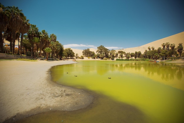 Oasi di Huacachina nel deserto di Ica