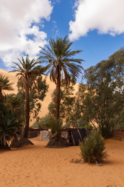 Oasi nel deserto del Sahara