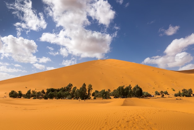 Oasi nel deserto del Sahara