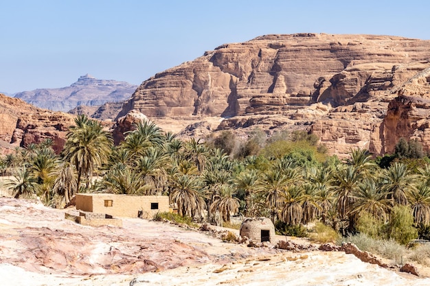 Oasi nel deserto, South Sinai, canyon bianco nel deserto, Egitto