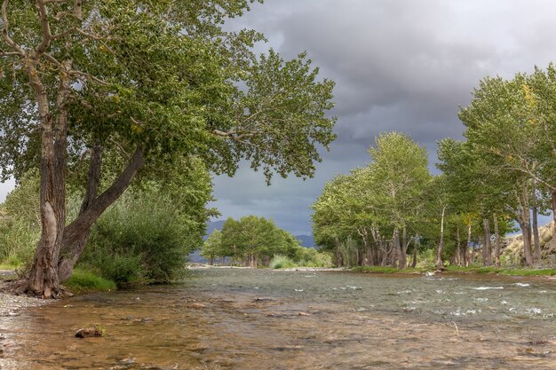 Oasi verde. Montagne del fiume Altai, Mongolia