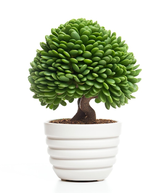 Oasi verde Una pianta in vaso che fiorisce su una tela