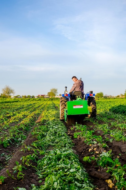 Oblast di Kherson Ucraina 16 maggio 2021 Un contadino scava le patate in un campo agricolo Raccolta le prime patate all'inizio della primavera Agroindustria e agribusiness Meccanizzazione della raccolta