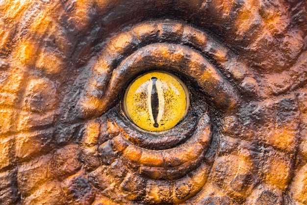 Occhi dei cacciatori di dinosauri.