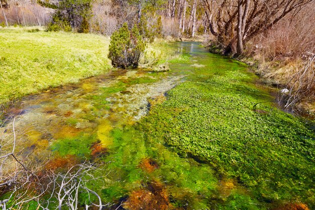 Occhi del fiume Ojos del Cabriel nella Sierra de Albarracin