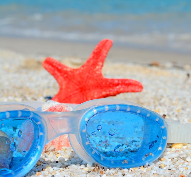 Occhiali blu e stelle marine rosse su una spiaggia biancaxA