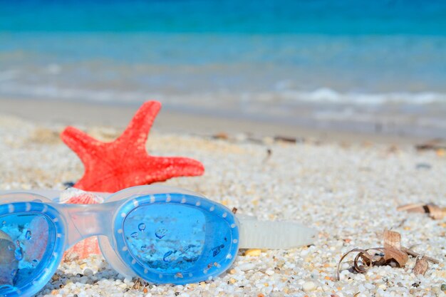 Occhiali blu e stelle marine rosse su una spiaggia biancaxA