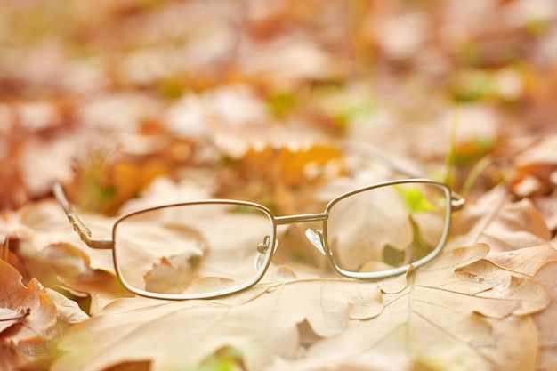 Occhiali sul fogliame autunnale. Autunno concetto di perdita della vista.