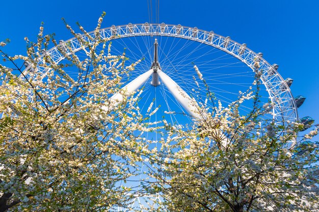 occhio di Londra