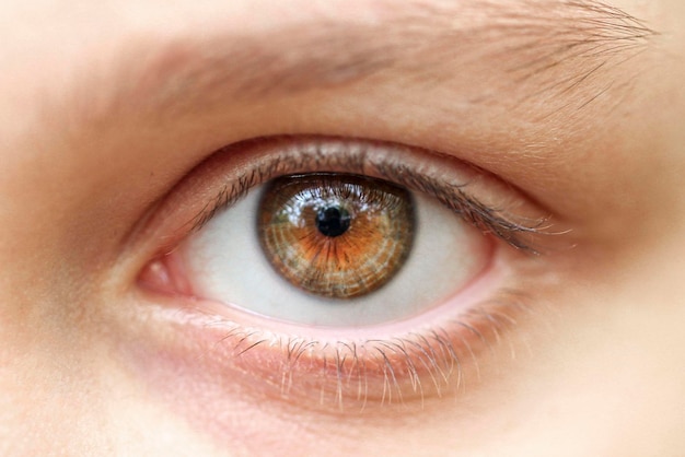 Occhio verde aperto di un'adolescente Caratteristiche individuali del colore e della struttura Biometria Closeup