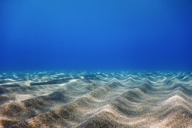 Oceano blu subacqueo, fondale sabbioso Sfondo subacqueo