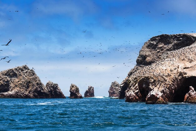 Oceano e uccelli in una giornata di sole