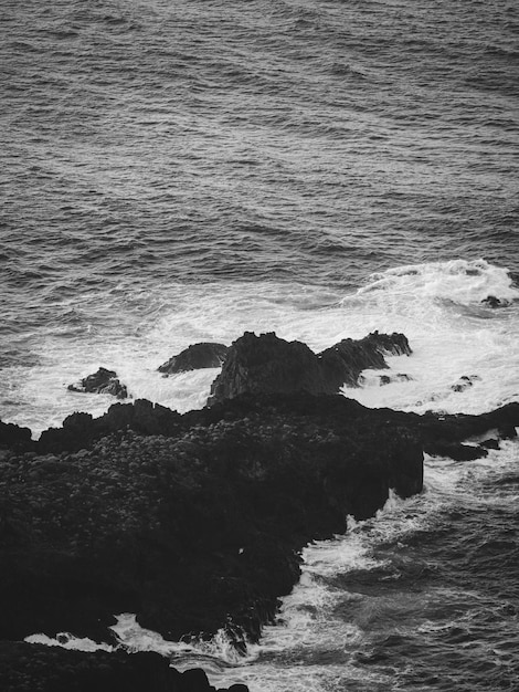 Oceano in bianco e nero