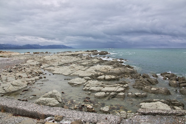 Oceano Pacifico a Kaikoura, Nuova Zelanda