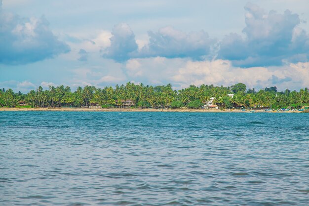 Oceano Sri Lanka. Natura e palme.