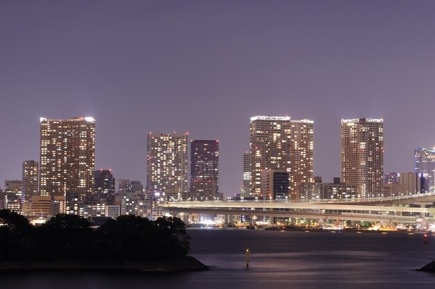 Odaiba, paesaggio urbano di Tokyo