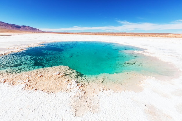 Ojo del Mar in un deserto di sale nella provincia di Jujuy, Argentina