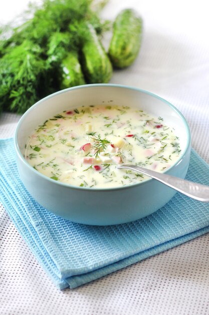 Okroshka - zuppa fredda russa tradizionale con cetriolo fresco, uova sode e aneto