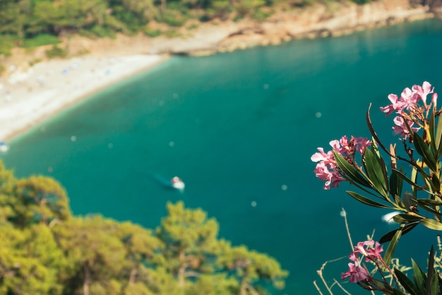 Oleandro fiore turchese mare yacht sfocata in background Kabak Valley Beach vicino a Fethiye