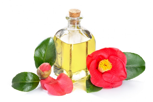 Olio di camelia ancora in vita