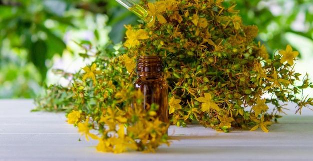 Olio di fiori di erba di San Giovanni in una bottiglia di vetro su fondo di legno