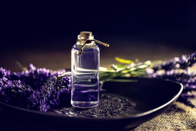 Olio di lavanda