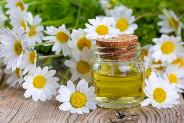 Olio di margherita bianca su uno sfondo di legno