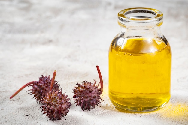 Olio di ricino frutti e semi Ricinus communis