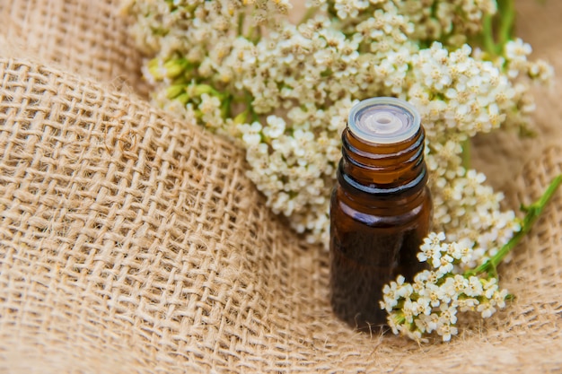 Olio essenziale di achillea Una piccola bottiglia