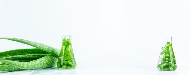 Olio essenziale di aloe vera su sfondo di foglie tropicali