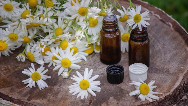 Olio essenziale di camomilla su fondo in legno. Messa a fuoco selettiva