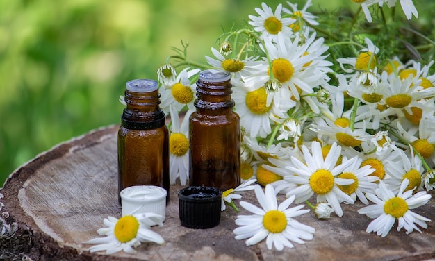 Olio essenziale di camomilla su fondo in legno. Messa a fuoco selettiva