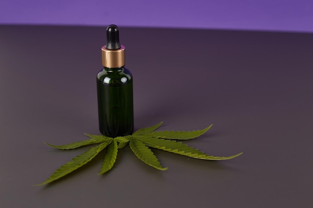 Olio essenziale di cannabis Estratto di olio di CBD in flacone contagocce con foglia verde di cannabis Marijuana Marijuana medica Pianta erboristeria Spazio per il testo