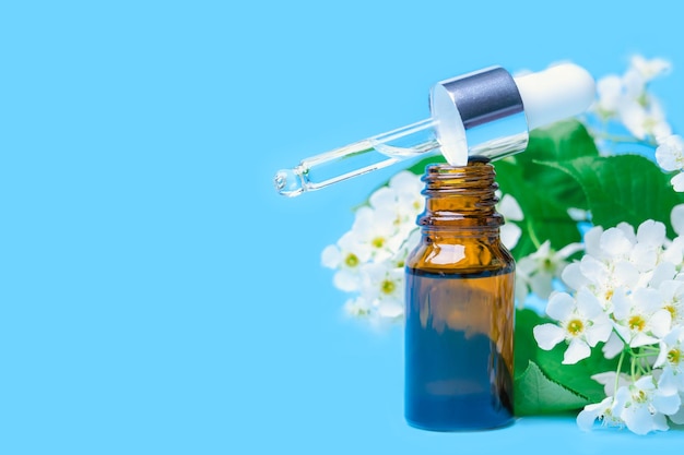 Olio essenziale di ciliegio d'uccello in una bottiglia con una pipetta e un ramo con fiori su sfondo blu