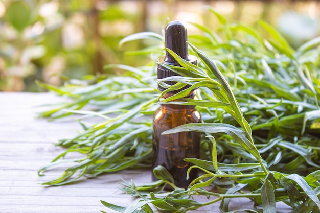 Olio essenziale di dragoncello in bottiglia. Messa a fuoco selettiva. natura.