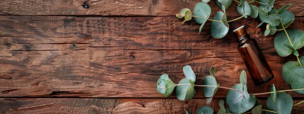 olio essenziale di eucalipto in bottiglia Concentramento selettivo