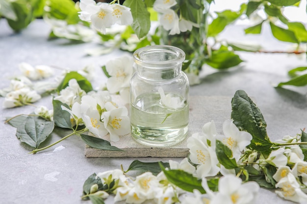 olio essenziale di gelsomino e medicina alternativa con fiori di gelsomino fresco