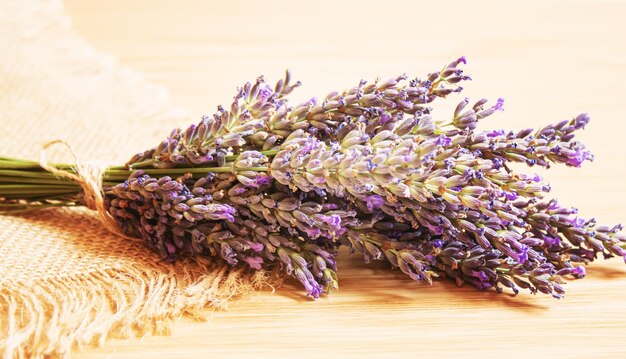 Olio essenziale di lavanda in una piccola bottiglia. Messa a fuoco selettiva.