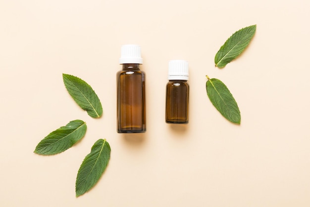 Olio essenziale di menta naturale in una bottiglia di vetro cosmetici biologici con estratti di erbe di menta su sfondo colorato