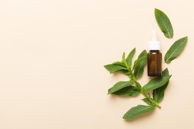 Olio essenziale di menta naturale in una bottiglia di vetro cosmetici biologici con estratti di erbe di menta su sfondo colorato