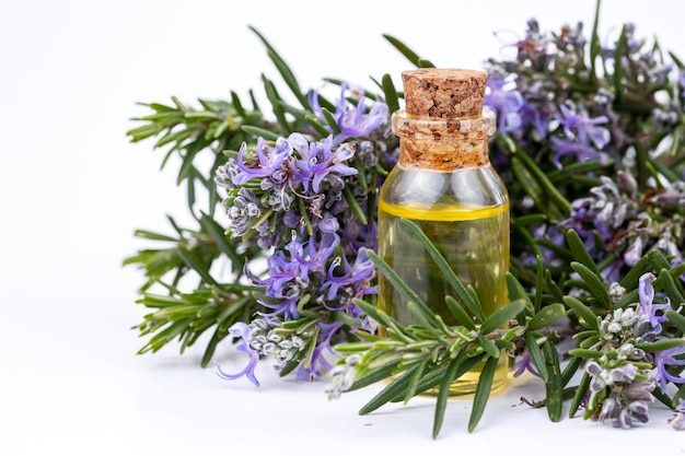 Olio essenziale di rosmarino in una piccola bottiglia. Olio cosmetico aroma naturale