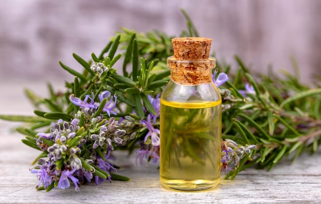 Olio essenziale di rosmarino in una piccola bottiglia. Olio cosmetico aroma naturale